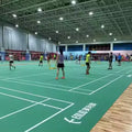 Enlio BWF Certified Pro PVC Badminton Flooring - Pre-Marked Tournament Court Surface with Non-Slip Texture