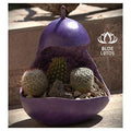 BEST SELLER Alert! Carved Gourd Plant Pots - Unique & Earth-Friendly Planters. HIGH QUALITY Readily AVAILABLE - BLUE LOTUS