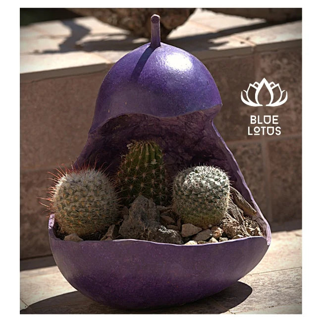 BEST SELLER Alert! Carved Gourd Plant Pots - Unique & Earth-Friendly Planters. HIGH QUALITY Readily AVAILABLE - BLUE LOTUS