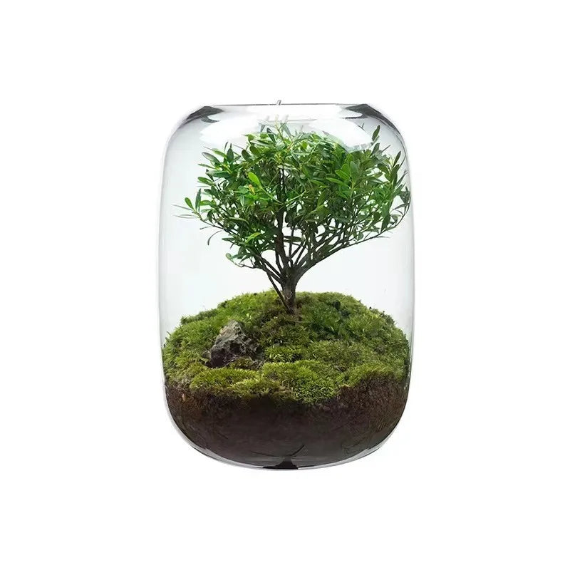 Handmade Modern Round Glass Vase in Clear and Gray for Home Moss Microlandscape and Hotel Use for Flowers