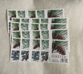 First Class Vintage 2025 Hot Selling Forever USA Postage Stamps Personalized Decorations Post Stamp Collect Business Envelopes
