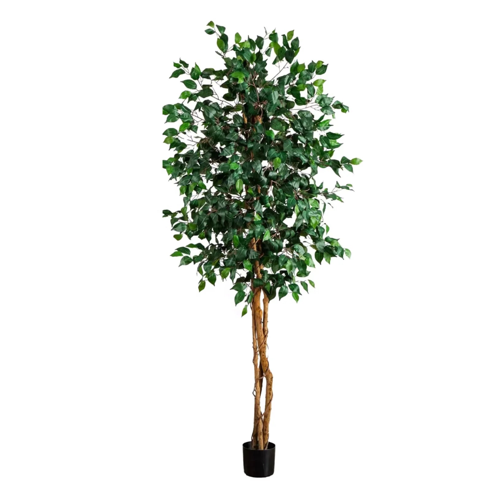Modern Elegant Artificial Olive Ficus Bonsai Trees Custom Silk PE Grass Decor for Stylish Office Outdoor Interiors for Weddings