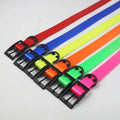 Personalized 600x25mm Adjustable Fluorescent TPU Plastic Dog Collar Rivet Alloy Buckles Solid Pattern Six Colors for Hunting MegaBDM