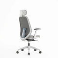 Professional Ergonor Office Chairs Adjustable Mesh Chair Comfortable Modern Computer Executive Swivel Chair Luxury Office