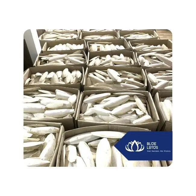 Best Selling Sustainable Cuttlefish Bone Chew for Birds Parakeets Parrots Finches Ideal for Beak and Bone Health Vietnam