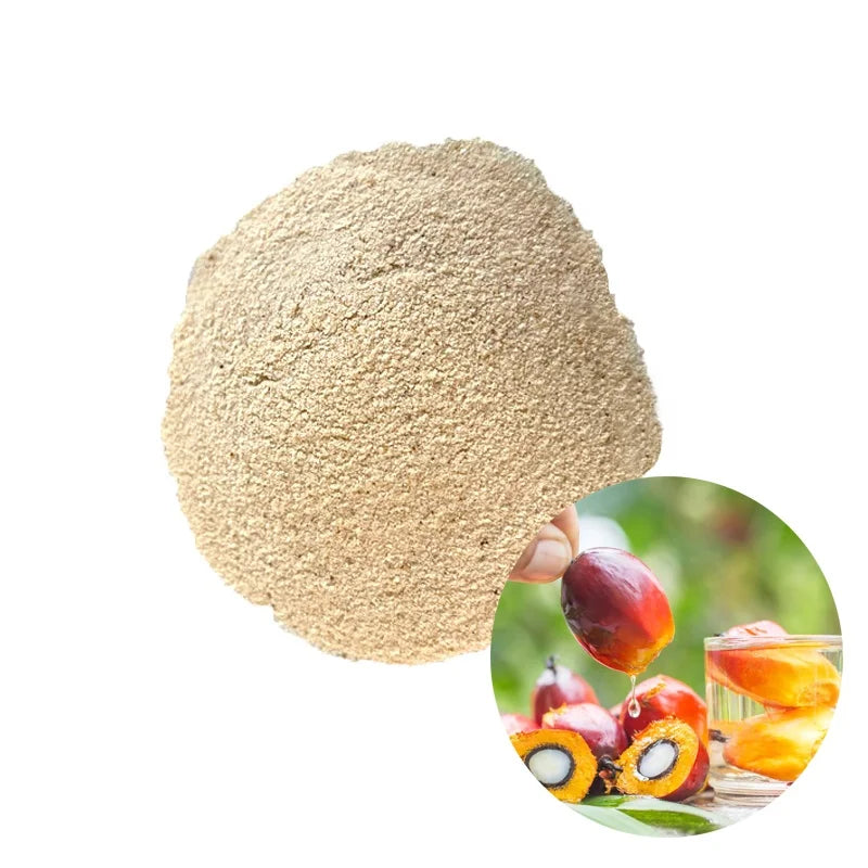 Best Sources of Fiber Extracted From Mature Palm Trees Malaysia Oil Palm Trunk Fiber Oil Palm Fiber Powder