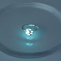 Copper Alloy Metal Jewelry Fashion Animal Cute Pet Paw Design Women Noctilucent Fluorescence Rings Jewelry