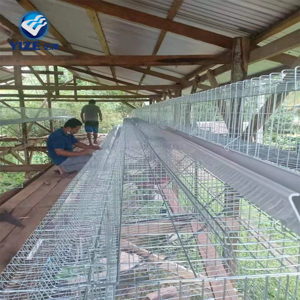 China Factory Manufacture Hot Sale Broiler Chicken Cage Automatic