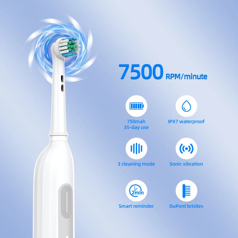 Private Label Portable Smart Rotating Electric Toothbrush BX11 Rechargeable IPX7 Sonic Teeth Whitening Medium 3 Modes 7500
