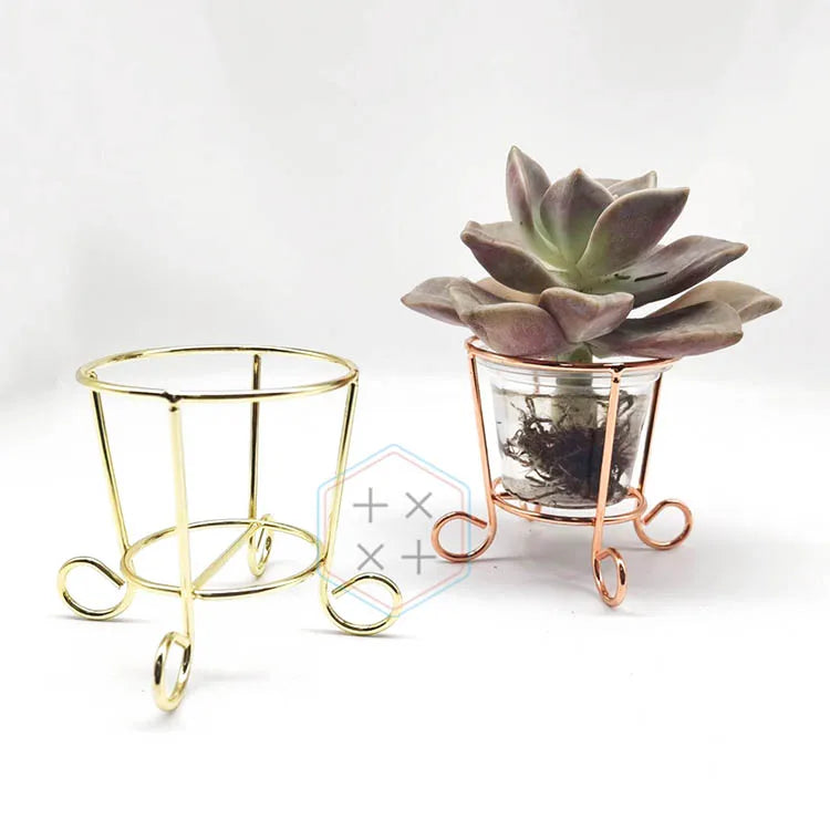 Professional Succulent Pot Mini Cactus Plant Flower Pots with Metal Stand for Garden Display
