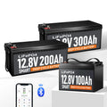 EU Stock Deep Cycle 12.8V Lithium Ion Battery Lifepo4 12V 100AH 200ah 300AH 400ah Li-ION Solar Storage System Pack MegaBDM