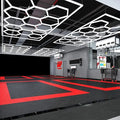 Factory Direct Honeycomb Design 14 Hexagonal Led Lights 6500K Garage Led Lights Hexagonal Grid Led Working Lights