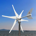 EU Warehouse 1000W Efficient Wind Turbine System 12V 24V 48V Home Use Wind Power Generators with MPPT Controller