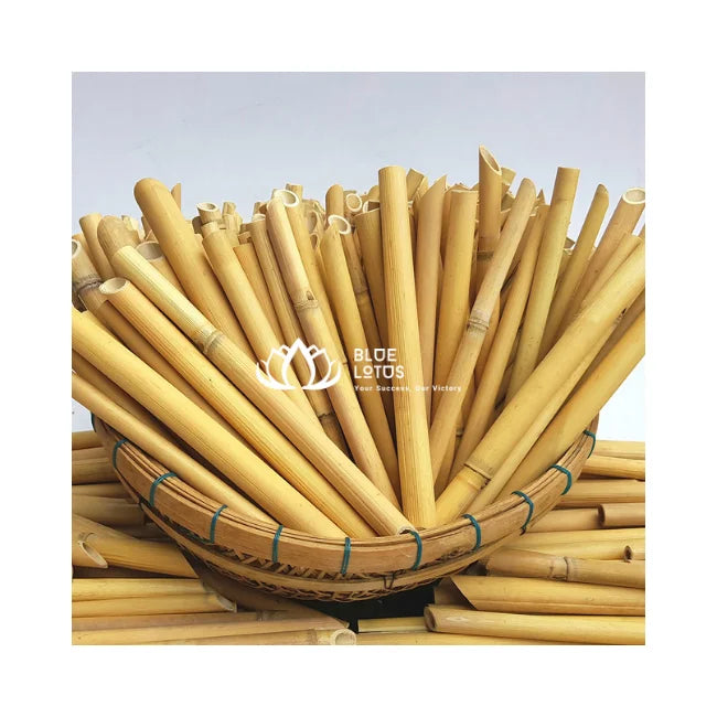Best Seller Bamboo Drinking Straw 20cm for Juice & Smoothie