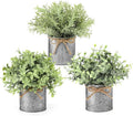 Small Artificial Plants in Farmhouse Style for Bathroom Shelf Table or Garden Decor