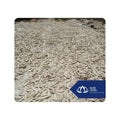 Available Bird Cuttlefish Bone for Daily Calcium and Chewing Needs Safe Sustainable Beak Conditioner from Vietnam