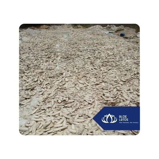 Available Bird Cuttlefish Bone for Daily Calcium and Chewing Needs Safe Sustainable Beak Conditioner from Vietnam