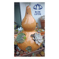 BEST SELLER for Plant Lovers! Dry Gourd Plant Pots - HIGH QUALITY Artisan Craftsmanship - BLUE LOTUS