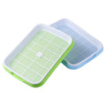 Double Layer Hydroponic Bean Sprout Plate Seedling Starter Tray Nursery Plant Germination Tray