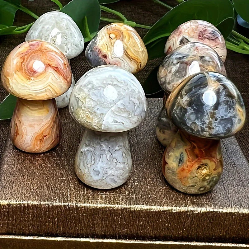 Wholesale High Quality Polished Natural Crazy Lace Agate Mushroom Crystal Striped Agate for Home Decoration