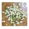 Vietnamese jasmine buds of exceptional quality gently dried and harvested at full bloom suitable for premium tea and uses