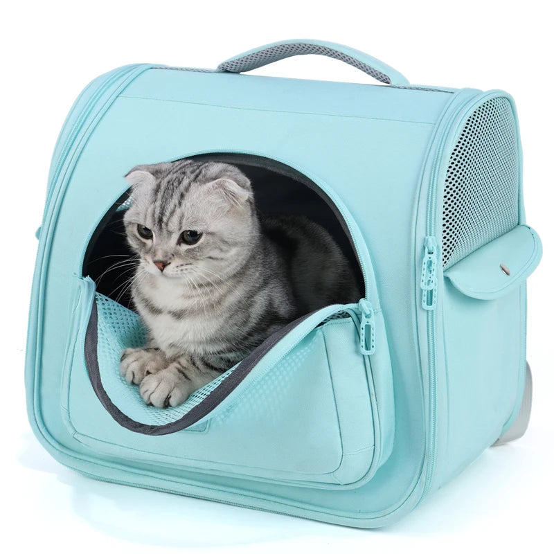 2023 New Design Hand-Free Pet Travel Backpack Large Capacity Oxford Carrier with Zipper Closure for Outdoor Adventures