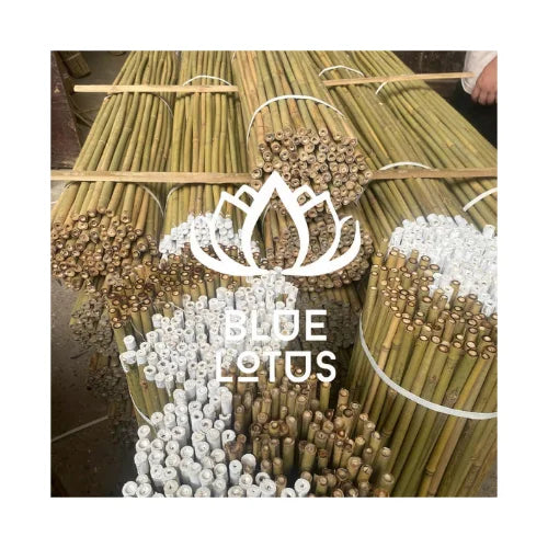 Decorative Bamboo Poles for Indoor and Garden Use Natural Fence and Craft Material from BLUE LOTUS Vietnam