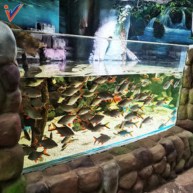 Luxury Big Size Heat Resistant Eco-Friendly Transparent Acrylic 5L Aquarium Fish Tank for GoldFish Outdoor Kitchen Use Bags