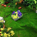 Evergreen Artificial Moss Wall Tile for Office Background and Landscape Design
