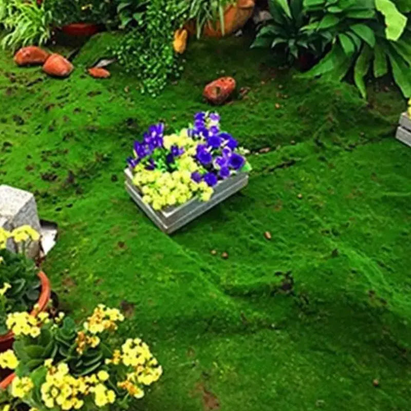 Evergreen Artificial Moss Wall Tile for Office Background and Landscape Design