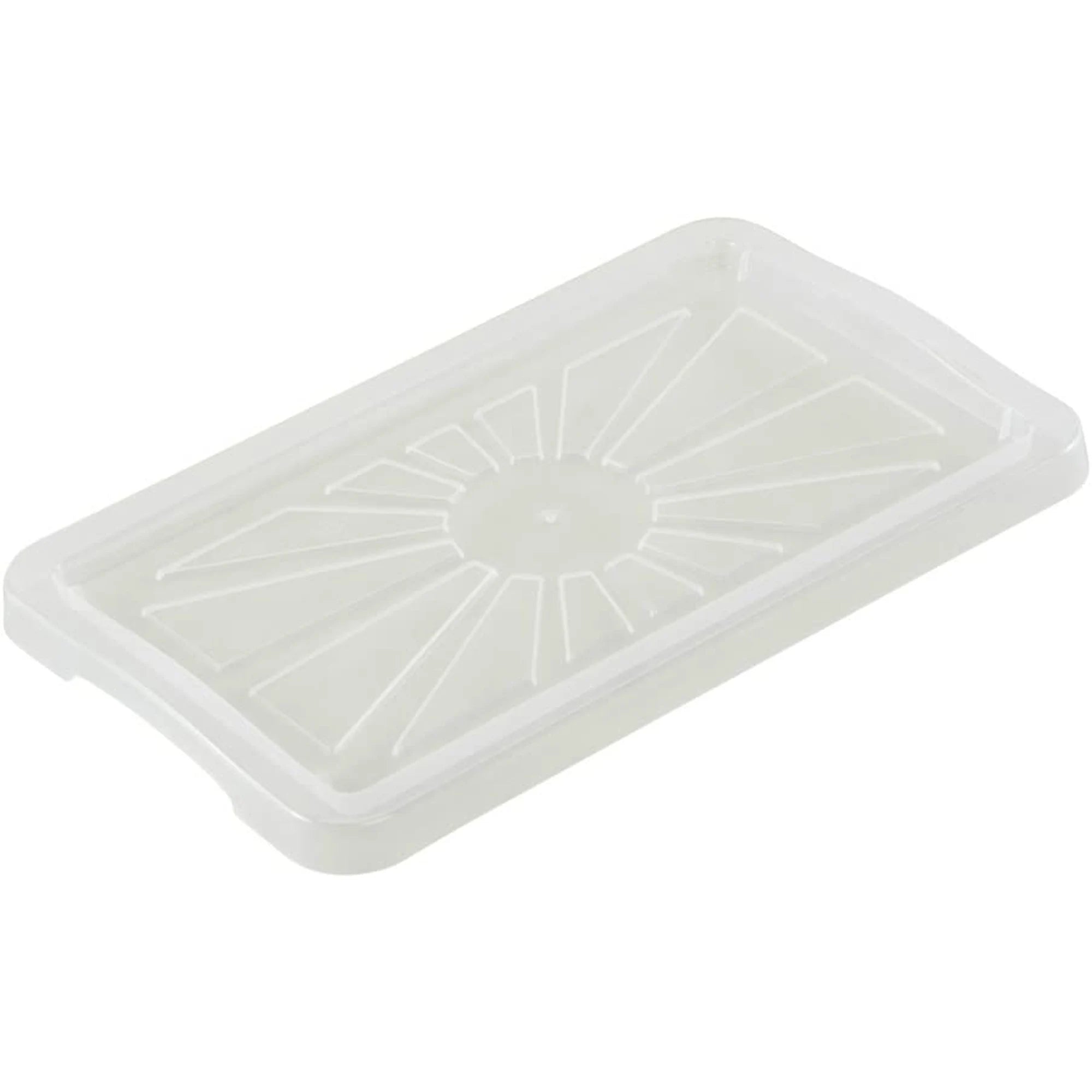 Franz Storage Box Lid Size: S 35 x 21 cm Transparent