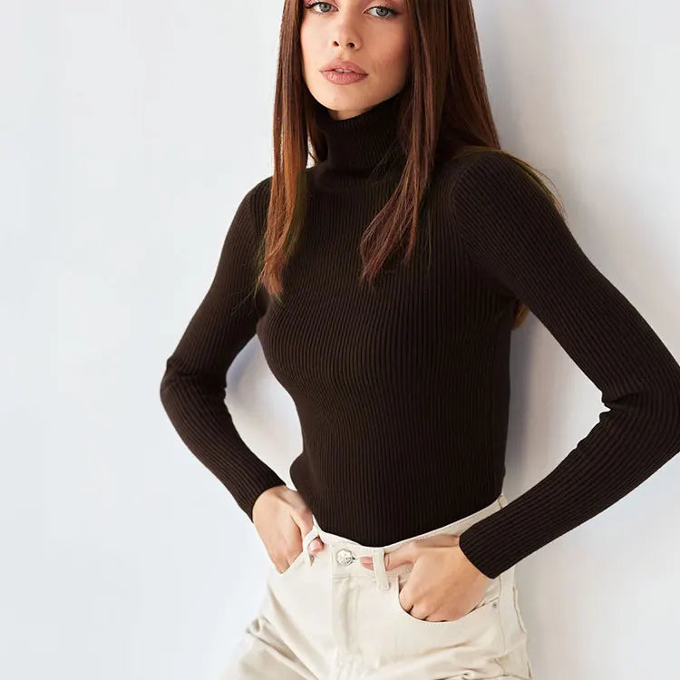 2025 Autumn Women's Turtleneck Knit Base Layer Euro-American Style Pullover Sweater-4