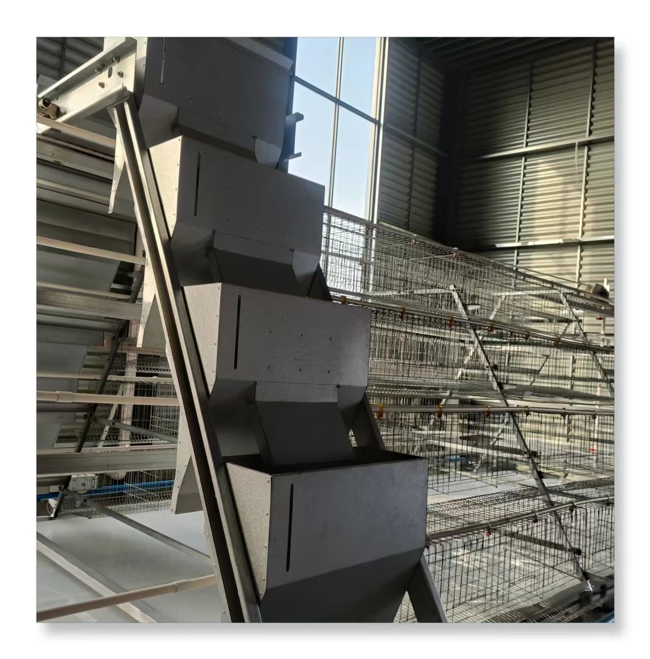 New MT Group Poultry Farm Layer Battery Chicken Cage with Hot Galvanized Steel and 1.5 Year Warranty for Global Sale