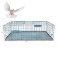 Durable Rust Resistant Pigeon and Other Bird Trap Bird Pest Control Bird Cage Trap