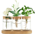 Plant Propagation Terrarium Desktop Glass Planter Station Water Planting Glass Vase with Lid and Wooden Stand Office 3 Pcs Decor MegaBDM