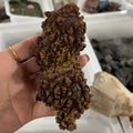 Dinosaur Excrement Fossil Crystal Raw Stone Natural Specimen Rare Collectible
