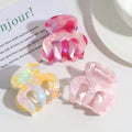 SHE SHARES Korean Style Acetate Gradient Color Hair Claw Clip Sweet Minimalist Ponytail Holder Daily Hair Accessory for Women
