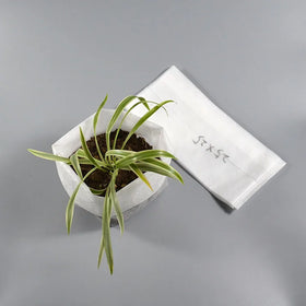 100pcs Breathable and Dustproof Agricultural Nursery Biodegradable Non Woven Fabric Seedling Bags Custom Nursery Grow Bags
