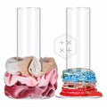 Acrylic Jewelry Display Holder Bracelet Bangle Stand Holder for Shop