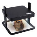 WONEGG CE Approved New Design Home Use Chicken Parrots Quail Heating Plate Chick Brooder Equipment