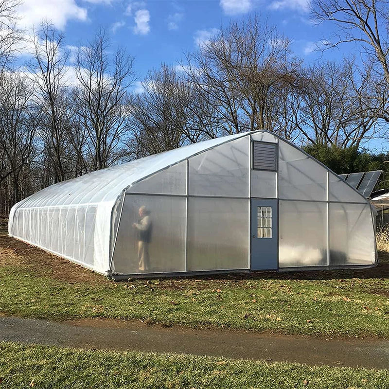 Skyplant Large Economic Hydroponic Greenhouse Steel Frame Single-Span PO Film for Vegetable Cultivation