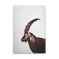 Made In Germany - Home Decor Canvas Picture Animals Ibex - Wall Mural In Grey And Brown - Canvas Picture On Stretcher Frame