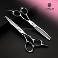 Professional Hair Cutting Scissors Kit Japan VG10 Steel Hair Scissors 6.0 Inch Barber Scissors Set