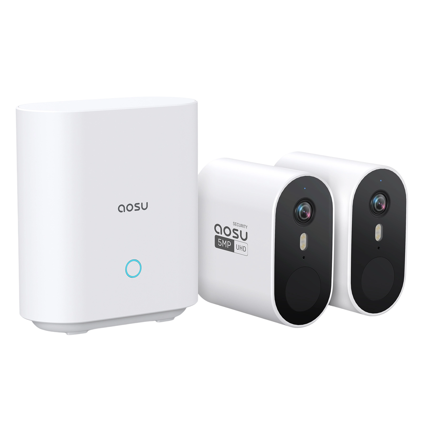 WirelessCam System Max MegaBDM