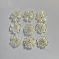 HQ GEMS Shell Flower 8-20mm White Natural Mother of Pearl Carved Flower
