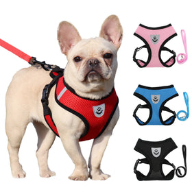 Dogs Harness and Leash Set Manufacturers Adjustable Training Custom Cotton Printed Soft Reflective Cat Harness