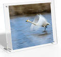 Acrylic Clear Frameless Eco-Friendly Customizable Sizes Photo Frame for Desktop Display Modern Floating Frame