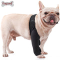 Factory Wholesale Soft Air Mesh Band Dog Joint Leg Support Brace Protector Pet Training & Behavior Product