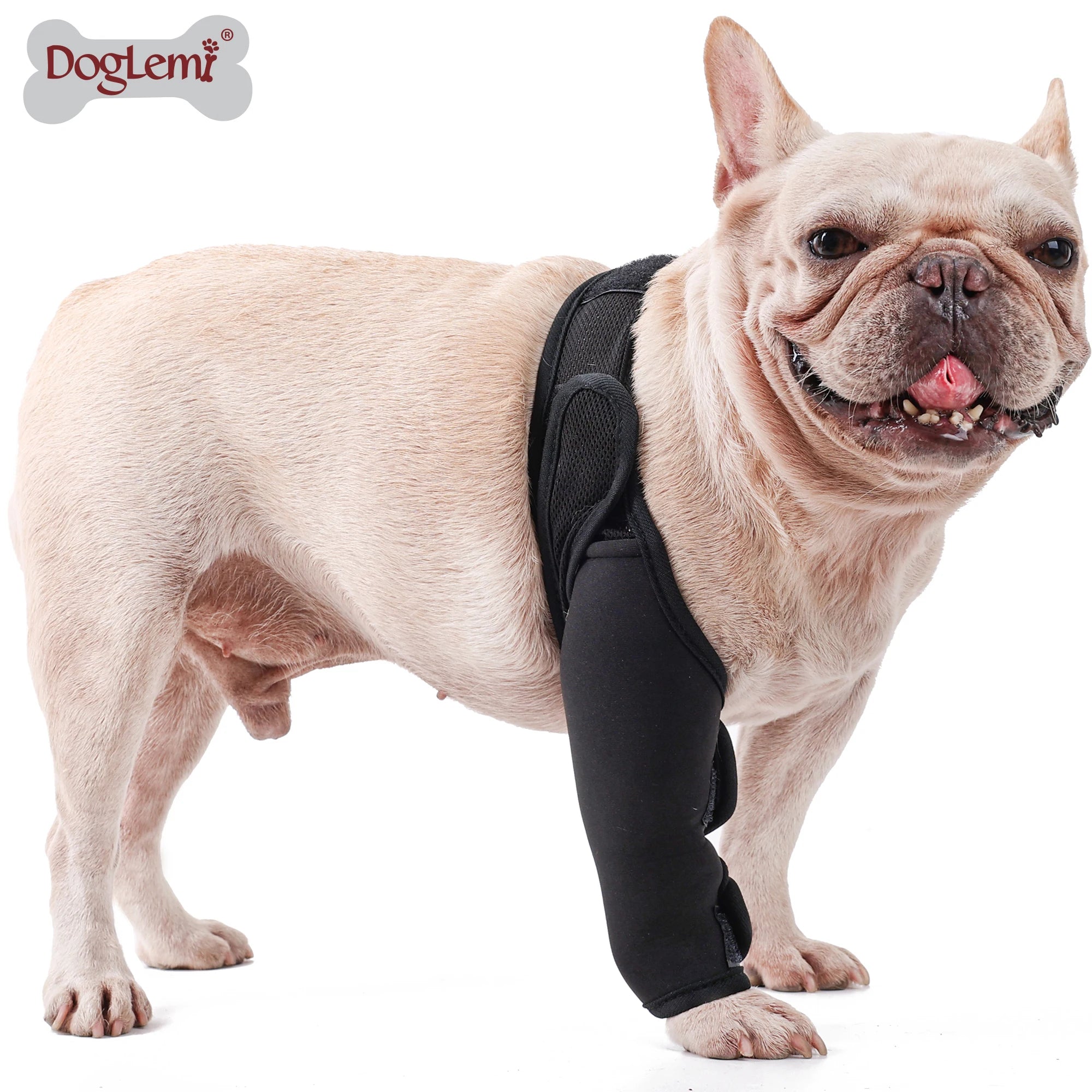 Factory Wholesale Soft Air Mesh Band Dog Joint Leg Support Brace Protector Pet Training & Behavior Product