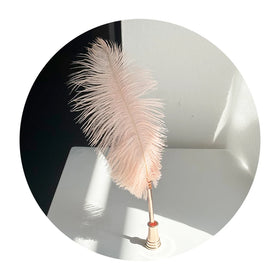 Elegant Gift Ostrich Ballpoint Pen